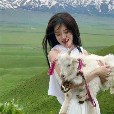 杰克盖的房子